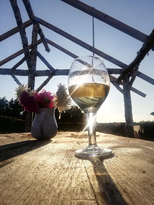 Overdækket terrasse af birketræ Overdækket terrasse af birketræ